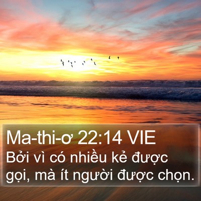 Ma-thi-ơ 22:14 VIE Bible Verse Image