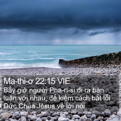 Ma-thi-ơ 22:15 VIE Bible Verse Image