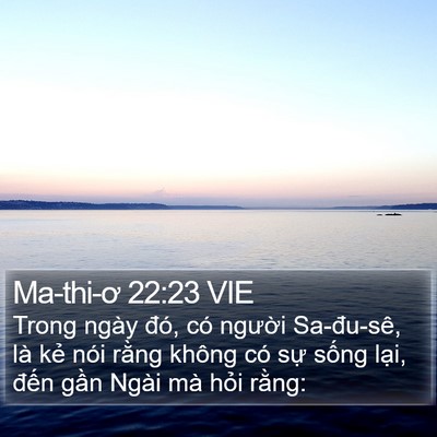 Ma-thi-ơ 22:23 VIE Bible Verse Image