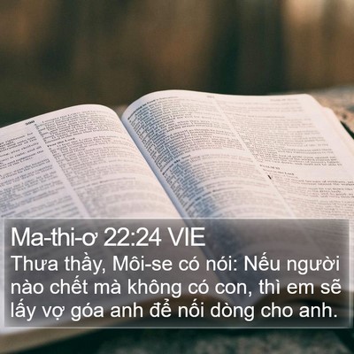 Ma-thi-ơ 22:24 VIE Bible Verse Image
