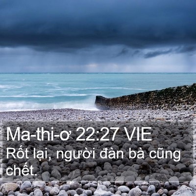 Ma-thi-ơ 22:27 VIE Bible Verse Image