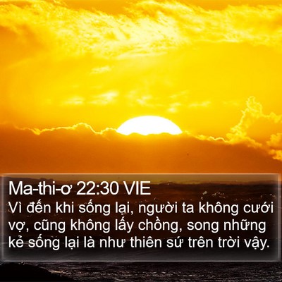 Ma-thi-ơ 22:30 VIE Bible Verse Image