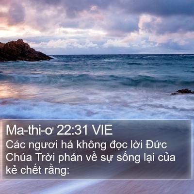 Ma-thi-ơ 22:31 VIE Bible Verse Image