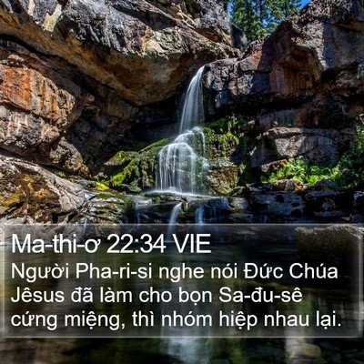 Ma-thi-ơ 22:34 VIE Bible Verse Image