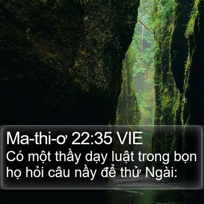 Ma-thi-ơ 22:35 VIE Bible Verse Image