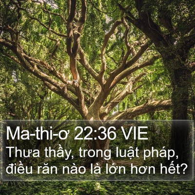 Ma-thi-ơ 22:36 VIE Bible Verse Image