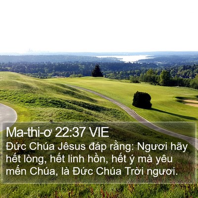 Ma-thi-ơ 22:37 VIE Bible Verse Image