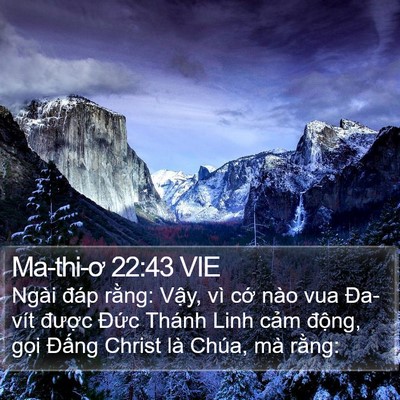 Ma-thi-ơ 22:43 VIE Bible Verse Image