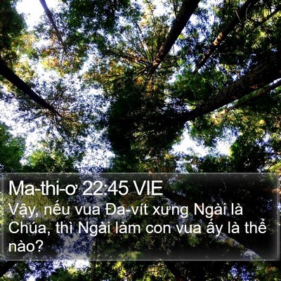 Ma-thi-ơ 22:45 VIE Bible Verse Image