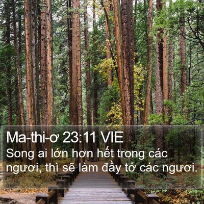 Ma-thi-ơ 23:11 VIE Bible Verse Image