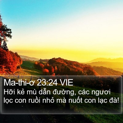 Ma-thi-ơ 23:24 VIE Bible Verse Image