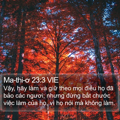 Ma-thi-ơ 23:3 VIE Bible Verse Image