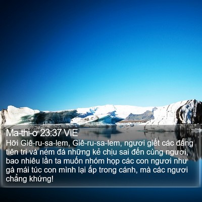 Ma-thi-ơ 23:37 VIE Bible Verse Image