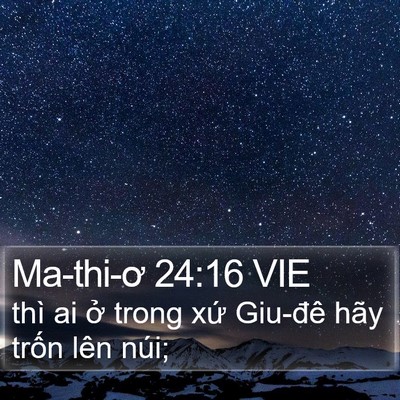 Ma-thi-ơ 24:16 VIE Bible Verse Image