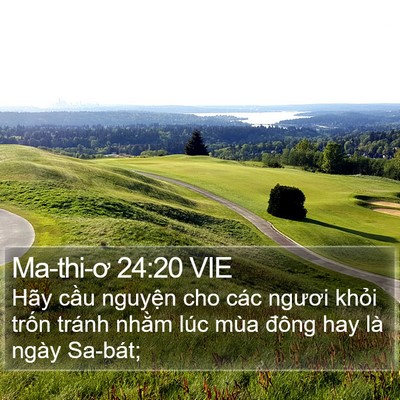 Ma-thi-ơ 24:20 VIE Bible Verse Image