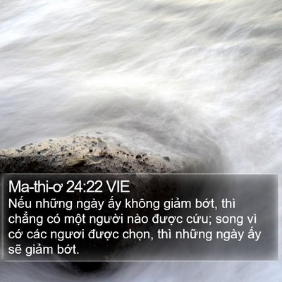 Ma-thi-ơ 24:22 VIE Bible Verse Image