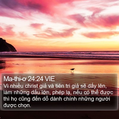 Ma-thi-ơ 24:24 VIE Bible Verse Image
