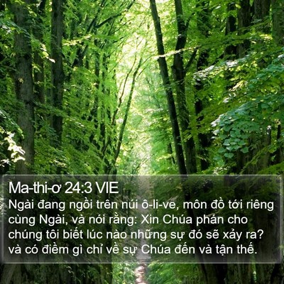 Ma-thi-ơ 24:3 VIE Bible Verse Image