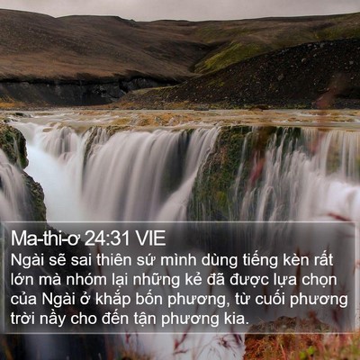 Ma-thi-ơ 24:31 VIE Bible Verse Image