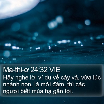 Ma-thi-ơ 24:32 VIE Bible Verse Image