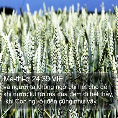 Ma-thi-ơ 24:39 VIE Bible Verse Image