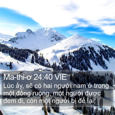 Ma-thi-ơ 24:40 VIE Bible Verse Image