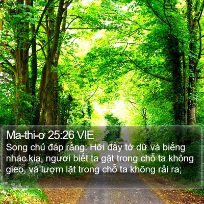 Ma-thi-ơ 25:26 VIE Bible Verse Image