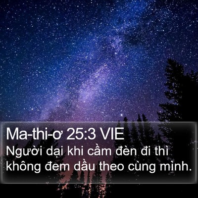 Ma-thi-ơ 25:3 VIE Bible Verse Image