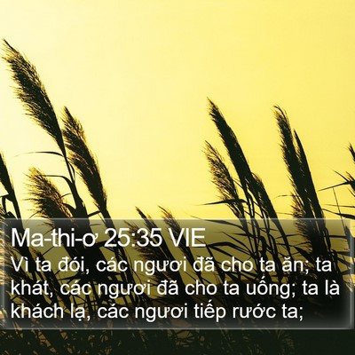 Ma-thi-ơ 25:35 VIE Bible Verse Image