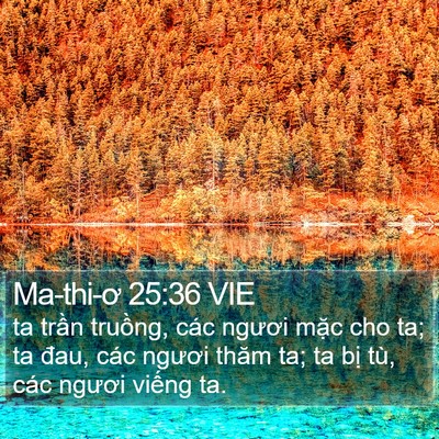 Ma-thi-ơ 25:36 VIE Bible Verse Image