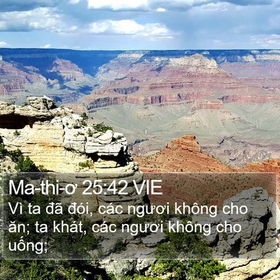 Ma-thi-ơ 25:42 VIE Bible Verse Image