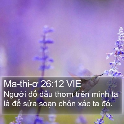 Ma-thi-ơ 26:12 VIE Bible Verse Image