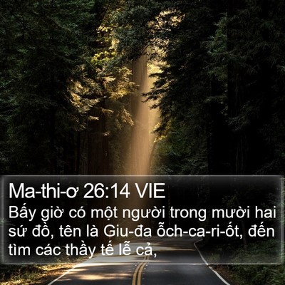 Ma-thi-ơ 26:14 VIE Bible Verse Image