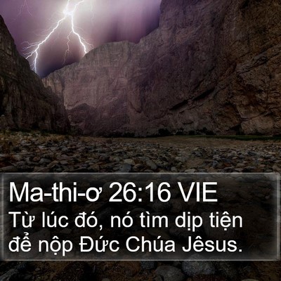 Ma-thi-ơ 26:16 VIE Bible Verse Image