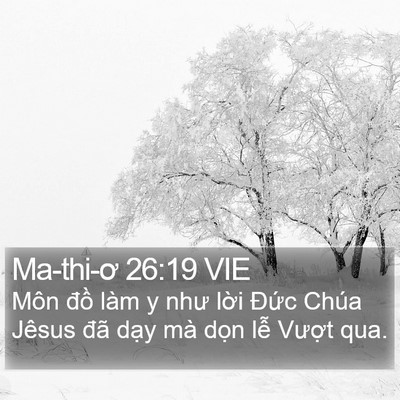 Ma-thi-ơ 26:19 VIE Bible Verse Image