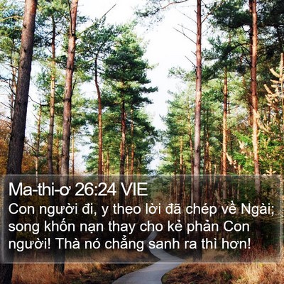 Ma-thi-ơ 26:24 VIE Bible Verse Image