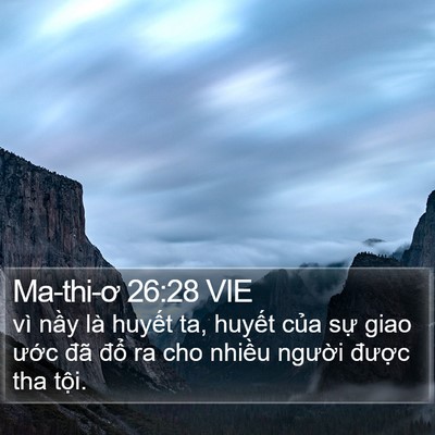 Ma-thi-ơ 26:28 VIE Bible Verse Image