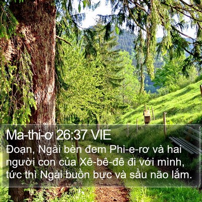 Ma-thi-ơ 26:37 VIE Bible Verse Image