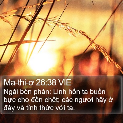 Ma-thi-ơ 26:38 VIE Bible Verse Image