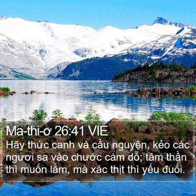 Ma-thi-ơ 26:41 VIE Bible Verse Image