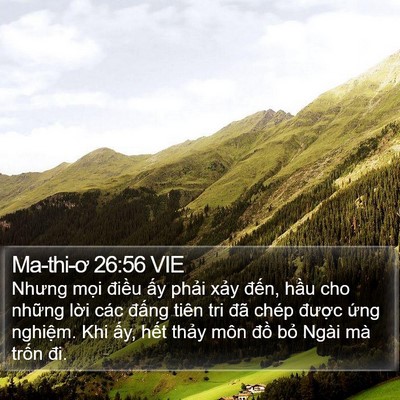 Ma-thi-ơ 26:56 VIE Bible Verse Image
