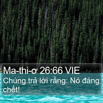 Ma-thi-ơ 26:66 VIE Bible Verse Image