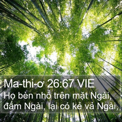 Ma-thi-ơ 26:67 VIE Bible Verse Image