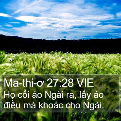 Ma-thi-ơ 27:28 VIE Bible Verse Image
