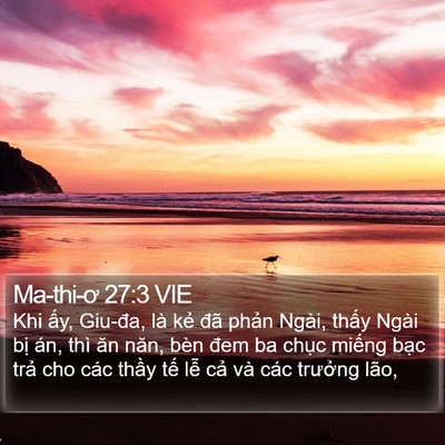 Ma-thi-ơ 27:3 VIE Bible Verse Image