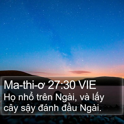 Ma-thi-ơ 27:30 VIE Bible Verse Image