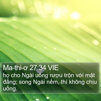 Ma-thi-ơ 27:34 VIE Bible Verse Image