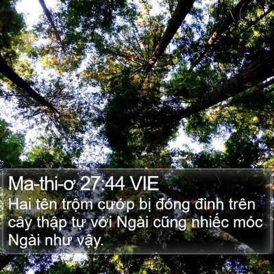 Ma-thi-ơ 27:44 VIE Bible Verse Image