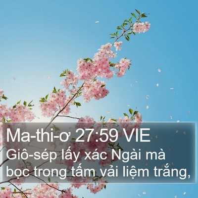 Ma-thi-ơ 27:59 VIE Bible Verse Image