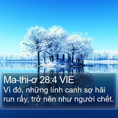 Ma-thi-ơ 28:4 VIE Bible Verse Image